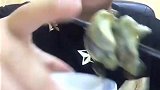 鲜美的大海螺串沾着酱油吃简直美味到天际