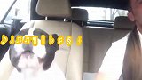 灵魂歌手上线，看法斗宝宝气沉丹田的咆哮唱法