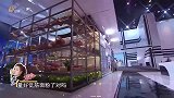 邓莎简直是厨房“白痴”，不会分蛋清和蛋黄丨听美食