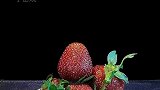 原来草莓表面颗粒是种子