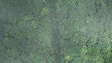 挑战高300多米的玻璃桥