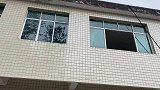 太难了！狸花猫终于找回来了，猫咪一家也终于团聚了！