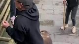 峨眉山猴子扯男子的裤子要食物，男子吓得不敢动