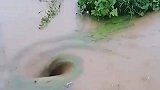 这洞里边怎么还吸草呢