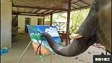 总有一片海适合你看看泰国油画 大象