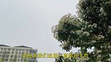 2020年是“双春年”，你知道一年有两次立春，有什么说法吗？