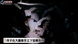 三星堆遗址青铜顶尊人像惊艳亮相