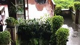 乌布空中花园酒店途中
