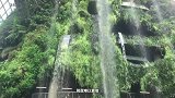 WWE-17年-亚洲巡演花絮：班克斯造访新加坡空中花园 感叹美不胜收-专题