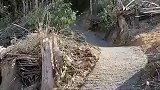 村干部给土路铺水泥，获得村民好评