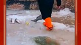 大叔下河捉鱼，差点掉入冰窟，太危险了