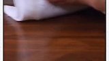 蛋黄酱和网球还有这种用途