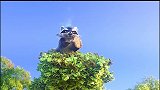 浣熊：是种无语的体验，这辈子没这么无语过