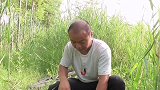 十几斤老玉米打窝，装了满满两盆，能否钓到巨物全靠这次