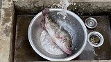 清蒸桂鱼真好吃，集细嫩和鲜美于一身，豪情壮志酒入口，一饮而尽