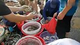 青岛人的夏天螃蟹摆满街，价格几十块钱一斤不等，看好了随便挑