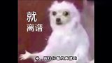 果然女大十八变呀！