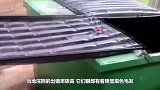 大叔好心投喂小浣熊，不料晚上，浣熊带着全家人过来了！