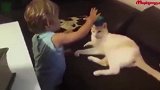 你这位宝爸好皮啊，竟然让猫咪闻小脚丫，真是搞笑啊！