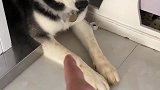 不是我动的手