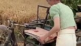农村的媳妇就是给力，开拖拉机真霸气