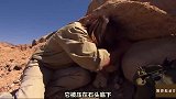 弄蛇人沙漠中偶遇受伤巨蜥，营救行动能顺利完成吗？