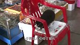 调皮小猫咪跳进鸡窝，瞬间被鸡群淹没，在里面动弹不得