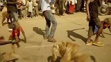 鬣狗为什么这么害怕非洲人？短短一分多钟的视频，看得人心酸不已
