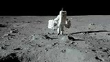 阿波罗登月清晰照片出炉