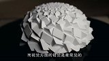 眼见不一定为实系列，你以为它在开花人家转个圈就骗了你