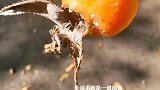 12月，对我好一点点。。。