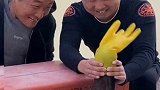 沙雕沙雕沙雕 男人的快乐很简单