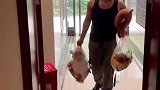 带娃日常，一孕傻三年，给她爹也传染了