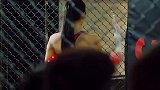 郑凯真是把渣男，演绎的淋漓尽致