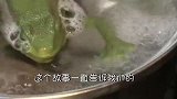 小伙实验温水煮青蛙，出现画面让人意想不到，镜头拍下全过程！