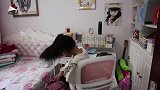 面食别总做老一套了，教您一种新吃法，好吃还漂亮，女儿特喜欢