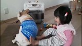 狗子：在暖炉面前还谈什么友谊！