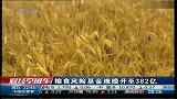 粮食风险基金规模升至382亿