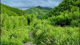 连续下了几天雨，莫干山景区临时关闭