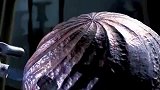 纯手工锻造工艺，老公花了八年学这个，不能让老祖宗的手艺失传！