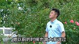 夏季怎么养护月季花呢？学会这几招，月季度夏不犯难。