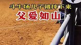 父爱如山！斗牛场儿子被摔下来，父亲毫不犹豫扑向自己的儿子
