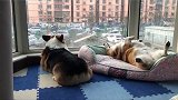 维皮实力演绎大家假期的状态