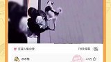 汪汪队开大会，这群狗有点狗啊