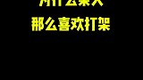 如果你是真的狗，请先和柴犬打一架！