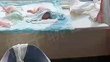 宝妈在窗台上“晒孩子”，网友：窗台不允许放“小老鼠”！
