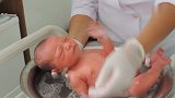 来看看国外医院怎么给刚出生的宝宝洗澡，一个小盆子就搞定了