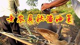 这个场景这背景音，满满乡村感！田间的趣事，播种油菜请来的能人