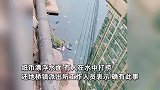 湖北一地被曝有人往河中撒钱路人下水打捞，派出所回应