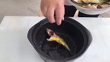 昂刺鱼这样烧汤，味道鲜美，没有腥味，操作也简单，一看就会